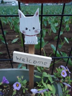 画像1: ガーデンピック大　白ネコ