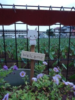 画像2: ガーデンピック大　白ネコ